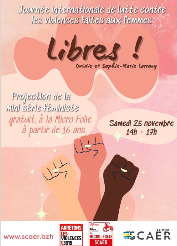 capture affiche 25 11 libres