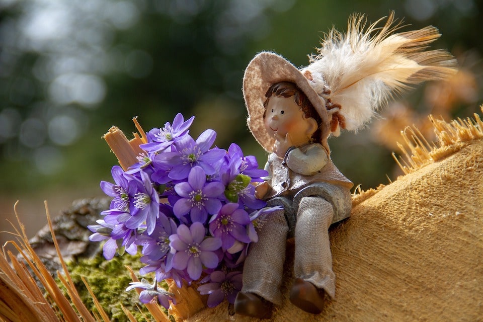 fleur bonhomme